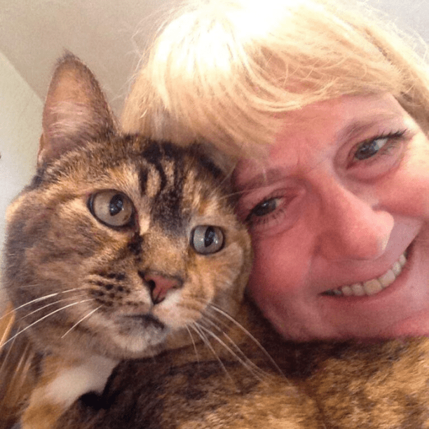 <h1><strong>Lo que opinan nuestros clientes</strong></h1>