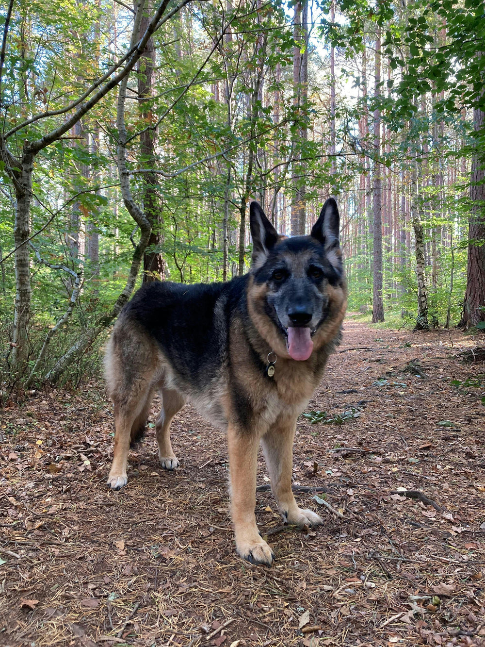 <h1><strong>Lo que opinan nuestros clientes</strong></h1>