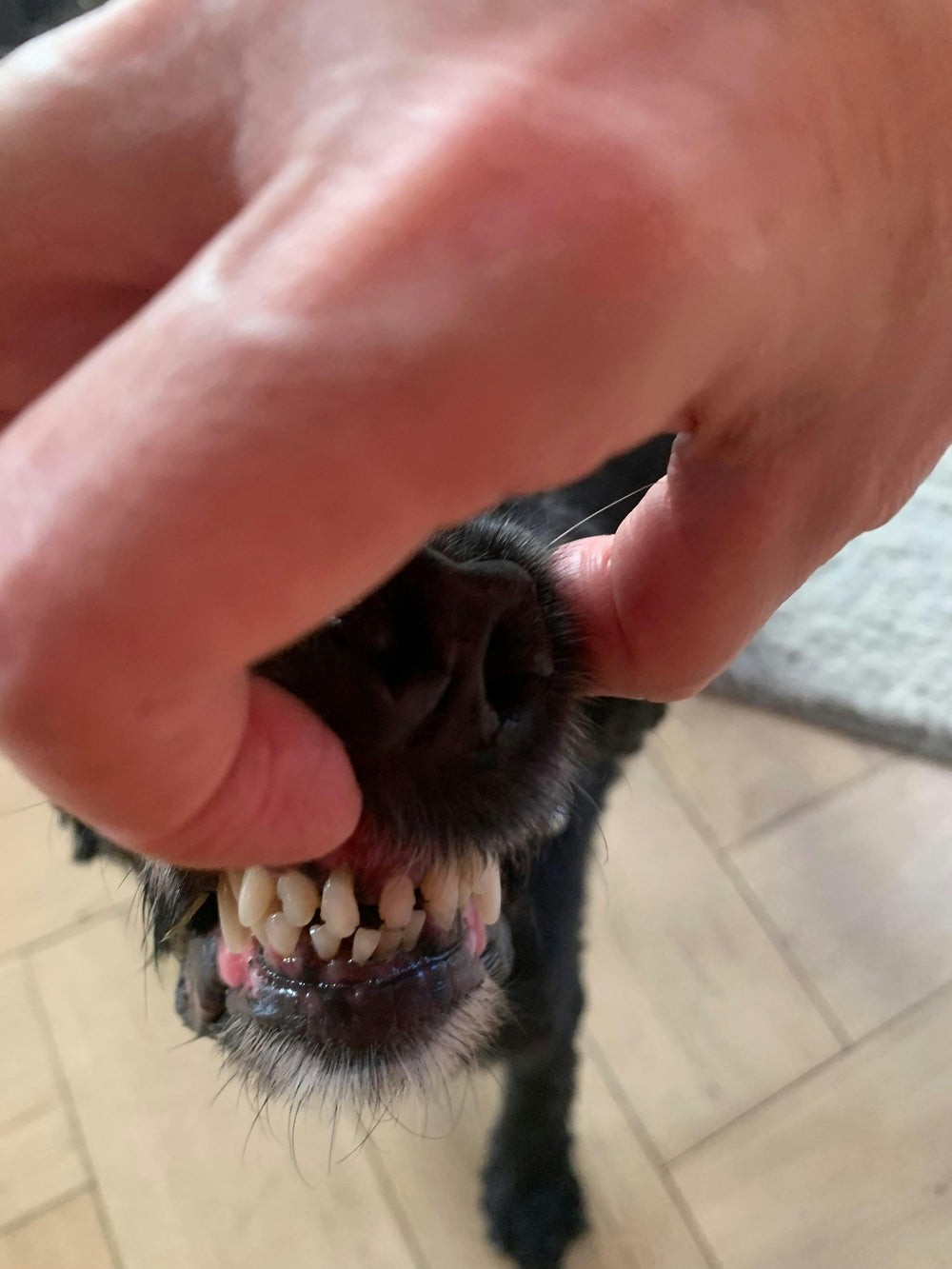 <h1><strong>Lo que opinan nuestros clientes</strong></h1>