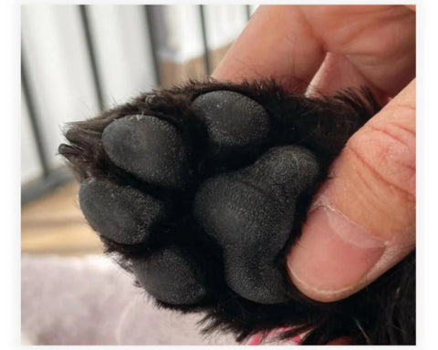 <h1><strong>Lo que opinan nuestros clientes</strong></h1>