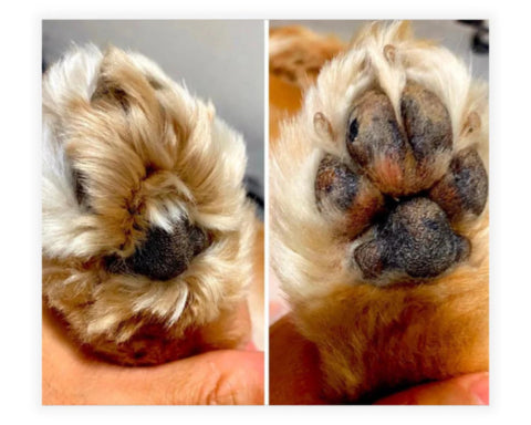 <h1><strong>Lo que opinan nuestros clientes</strong></h1>