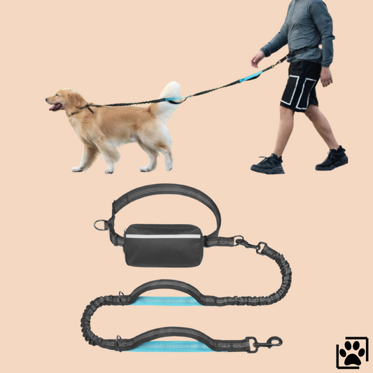 PawLeash®