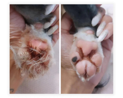 <h1><strong>Lo que opinan nuestros clientes</strong></h1>