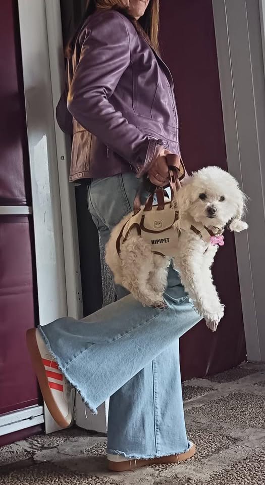 <h1><strong>Lo que opinan nuestros clientes</strong></h1>