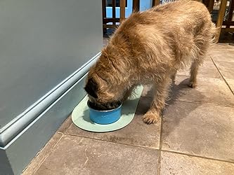 <h1><strong>Lo que opinan nuestros clientes</strong></h1>