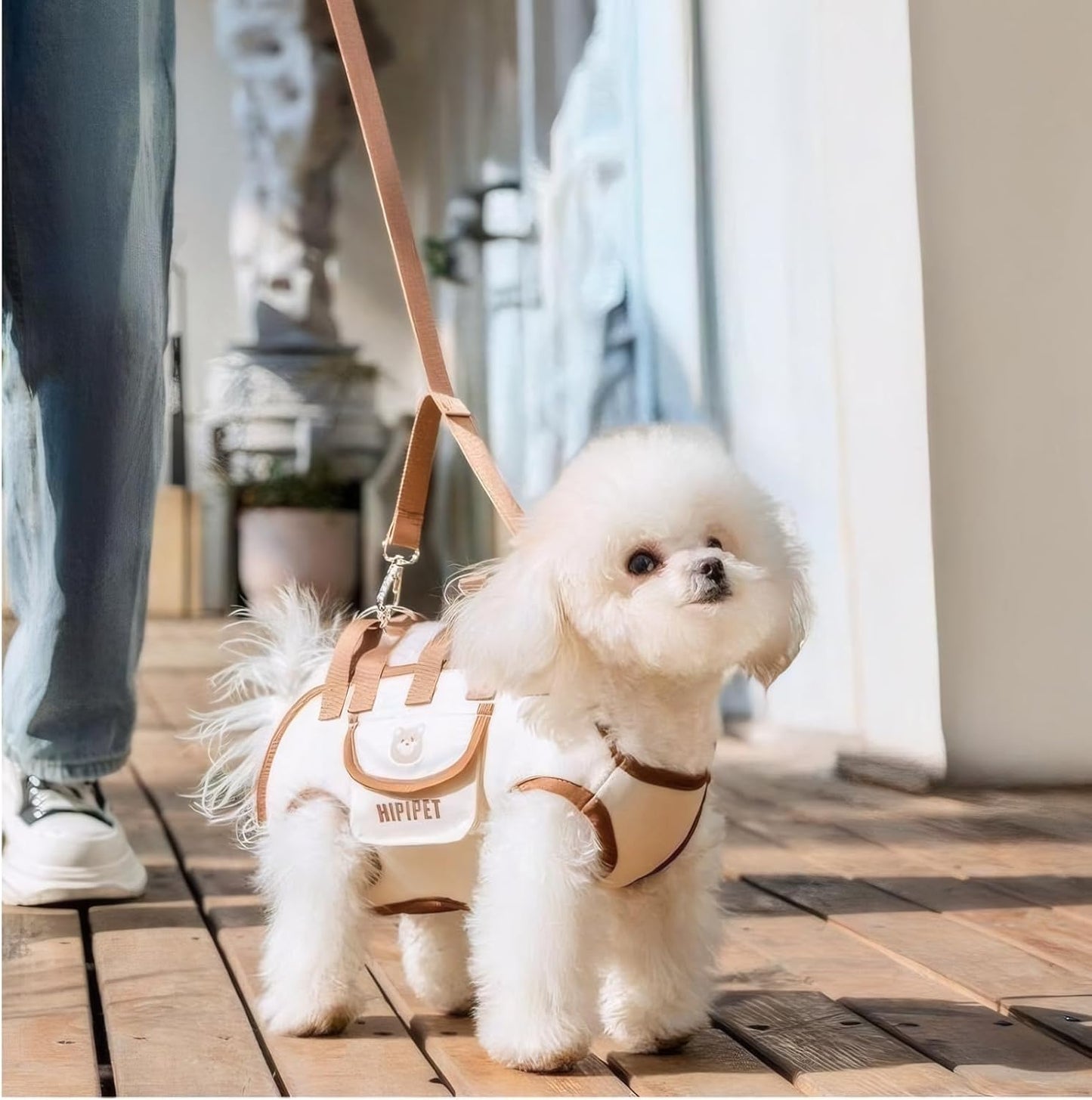 PawLuxe Bag