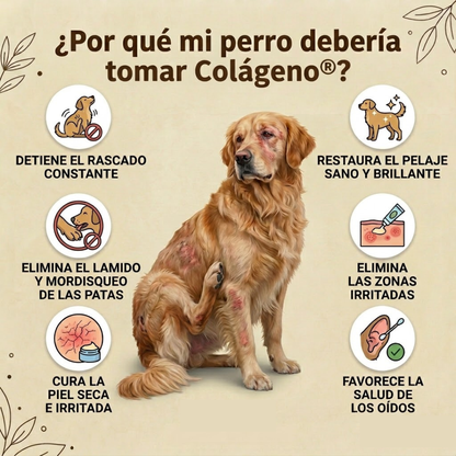 Colágeno Premium