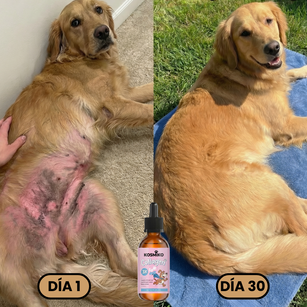 Colágeno Premium