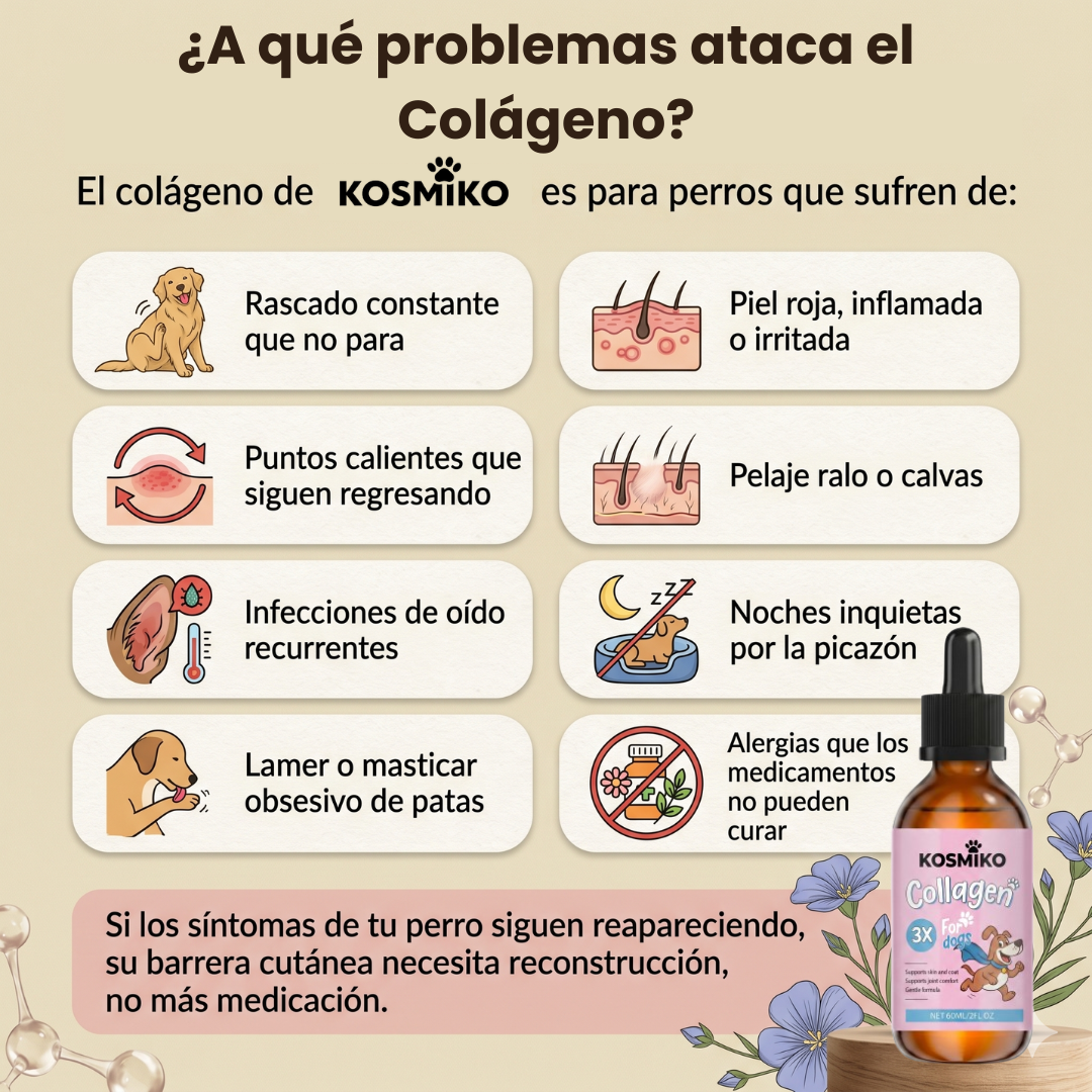 Colágeno Premium