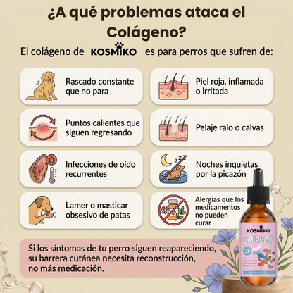 Colágeno Premium