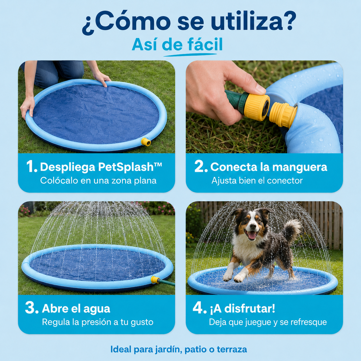 PetSplash