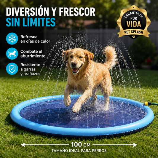 PetSplash