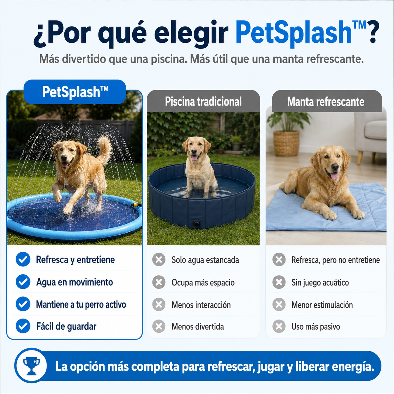 PetSplash