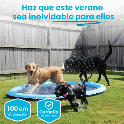 PetSplash