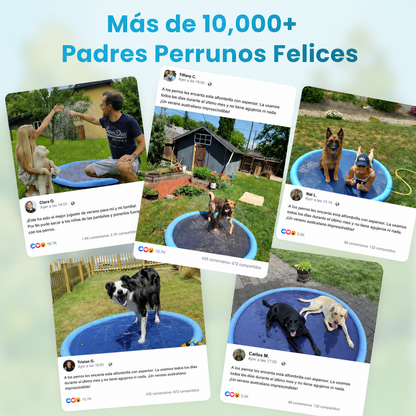 PetSplash
