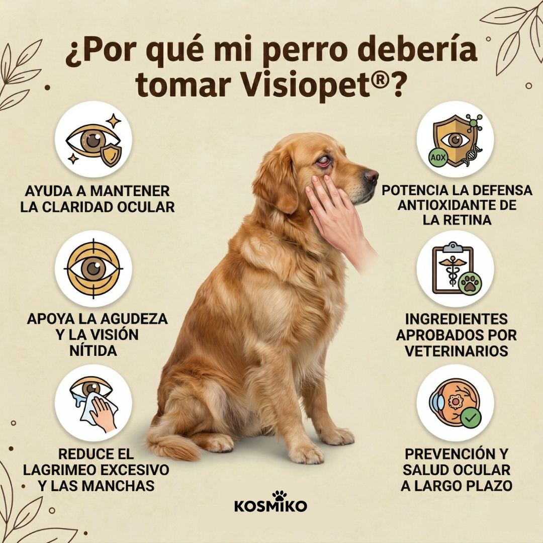 VisioPet