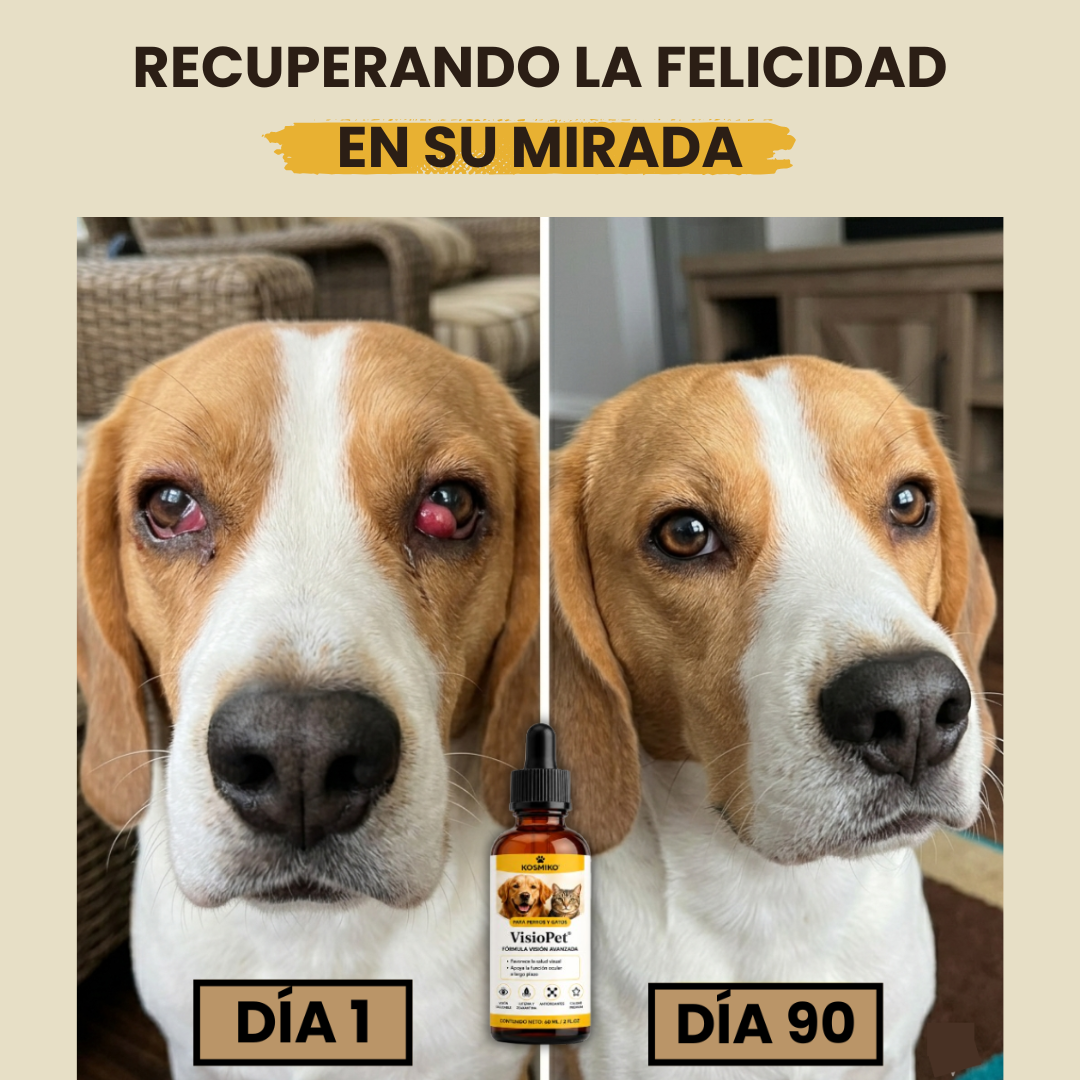 VisioPet