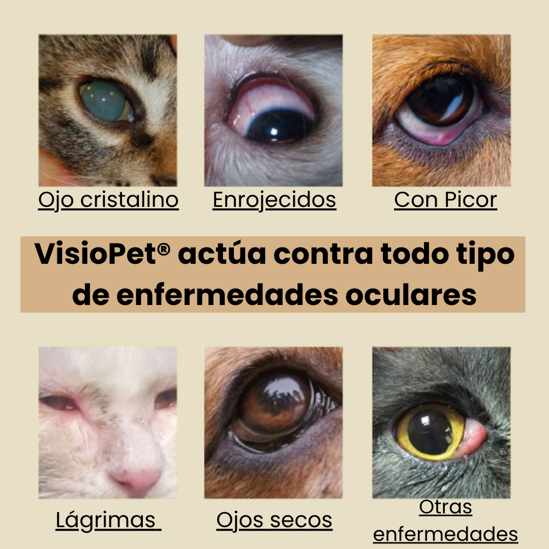 VisioPet