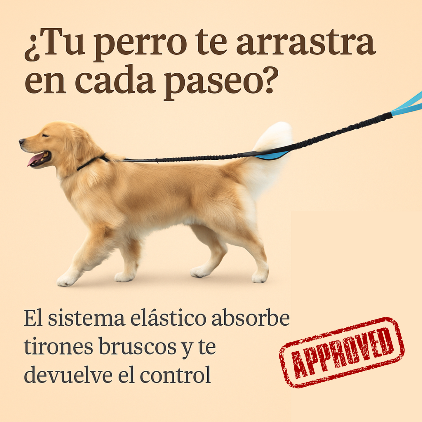 PawLeash®