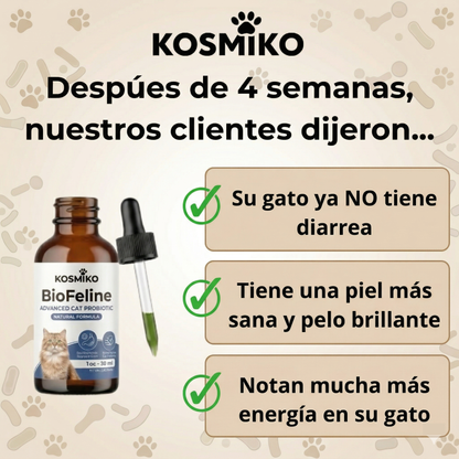 BioFeline ~ Probiótico Avanzado para la Salud de Tu Gato