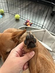 <h1><strong>Lo que opinan nuestros clientes</strong></h1>