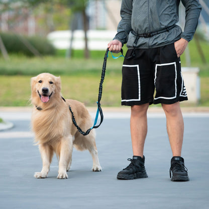 PawLeash®