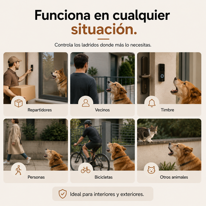 CalmPet