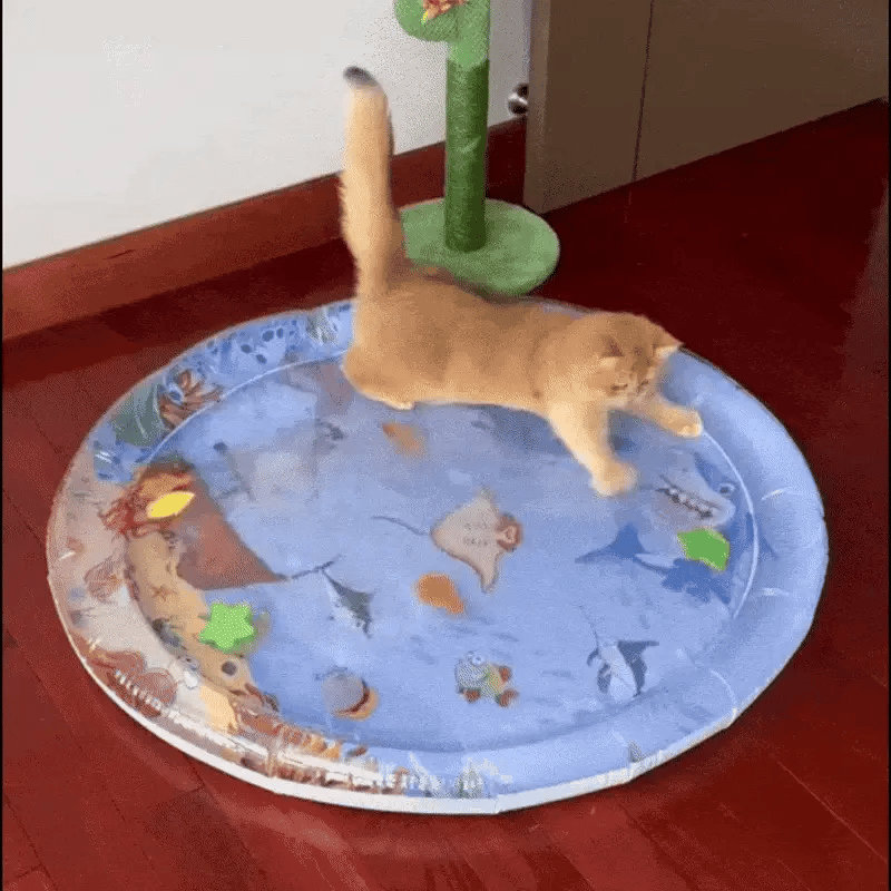 AquaPet