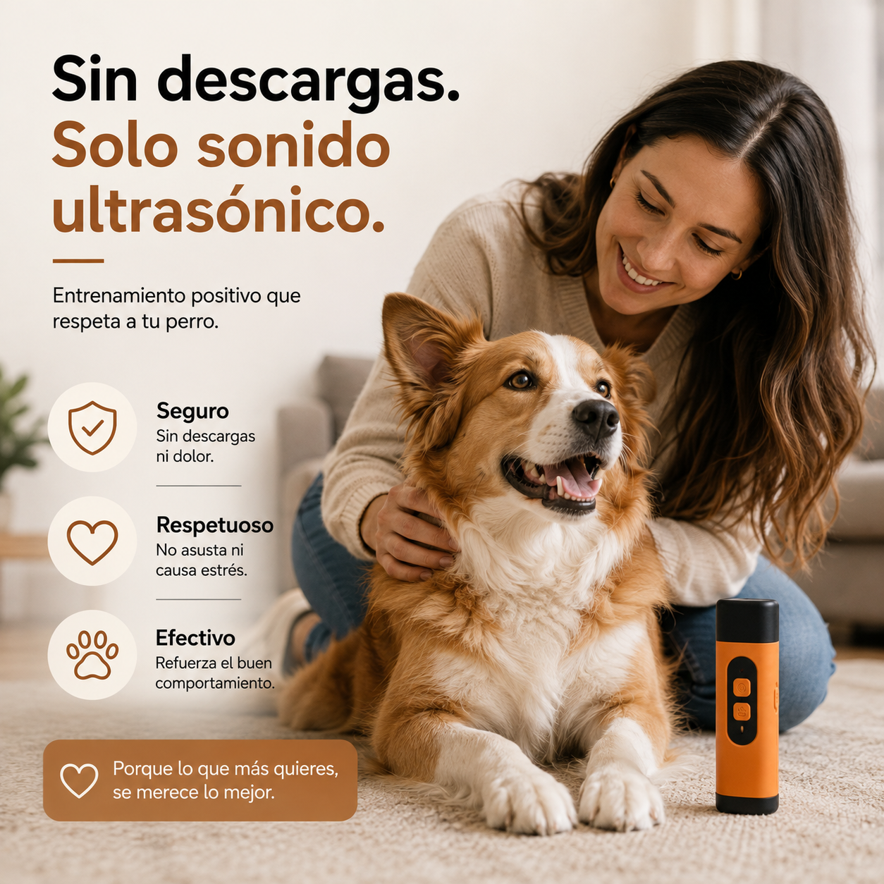 CalmPet