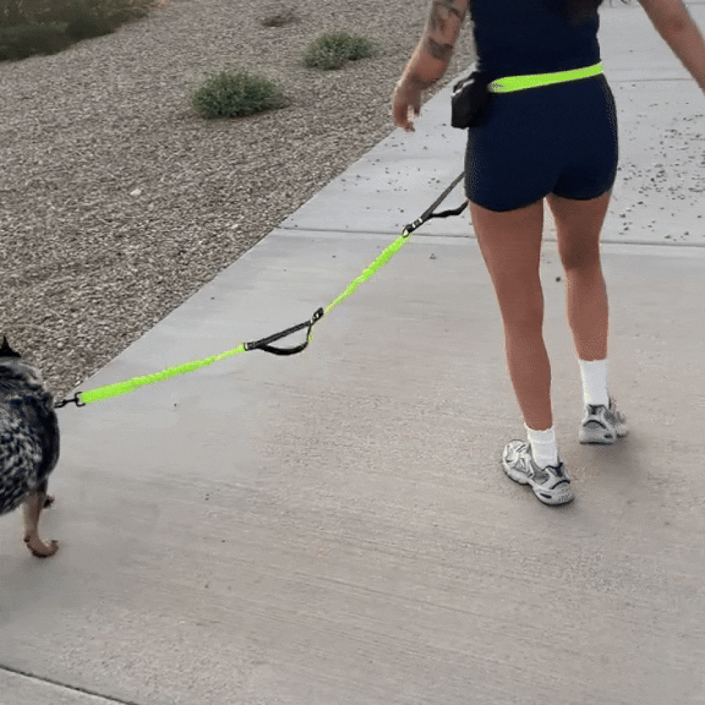 PawLeash®