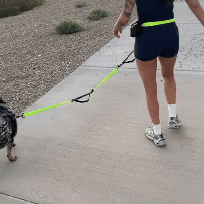 PawLeash®