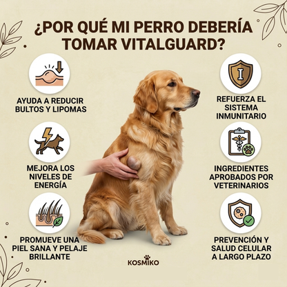 VitalGuard