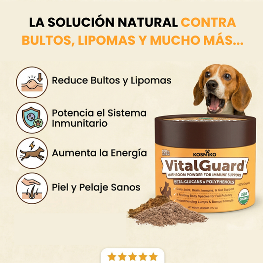 VitalGuard