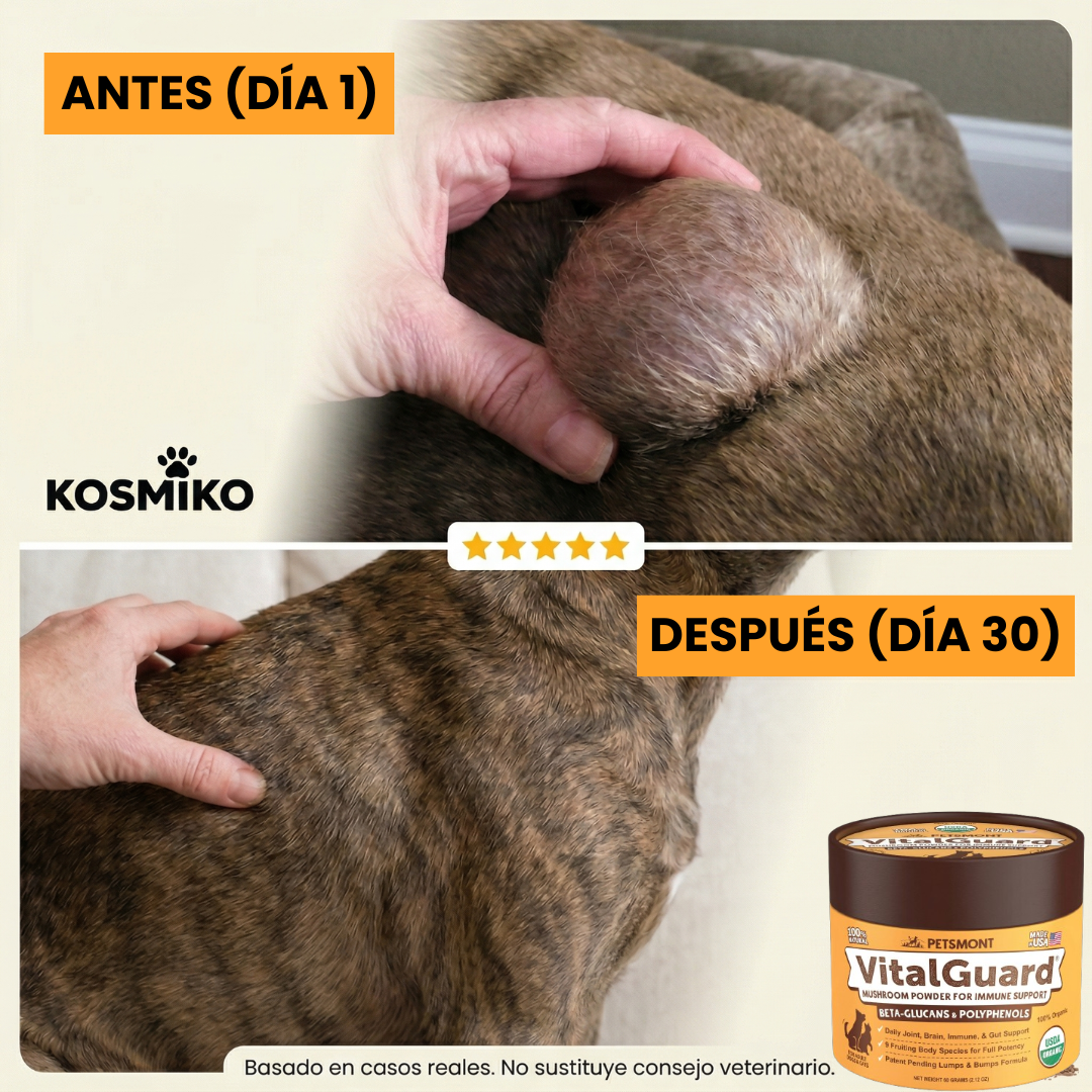 VitalGuard